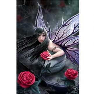 Rose Fairy 3D Picture