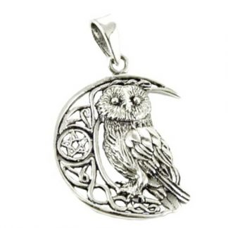Silver Owl on Moon Pendant