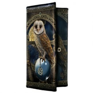 Spell Keeper Purse shows an owl perched upon a crystal ball, holding a pentacle in its talons