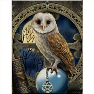 Spell Keeper 3D Picture shows an owl with a pentacle in its talons sitting on a crystal ball