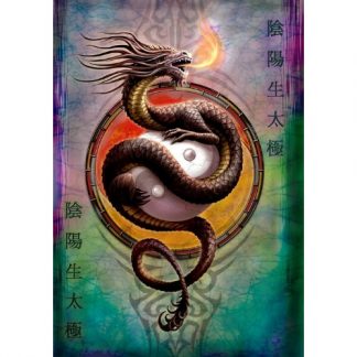 Yin Yang Protector Card