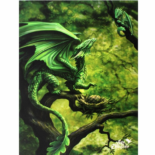 Forest Dragon Canvas Picture