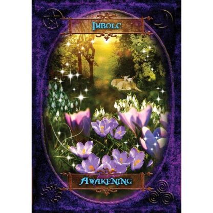 Witches' Wisdom Oracle Cards