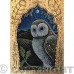 The Owl in the Oak Card