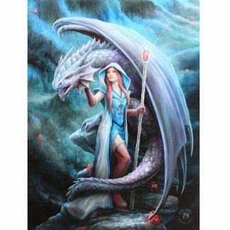 Dragon Mage Canvas Picture