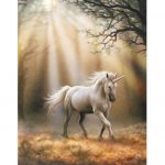 Glimpse of a Unicorn Canvas Picture