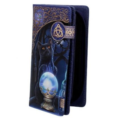 Witches Apprentice Embossed Purse