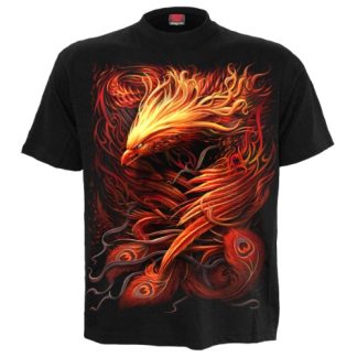 Phoenix Arisen T Shirt