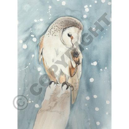 All Souls Owl Card