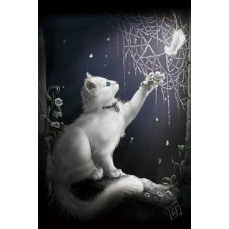 Snow Kitten 3D Postcard