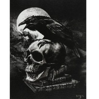 Poe's Raven Canvas Picture