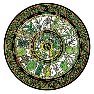 Celtic Ogham Wheel Card