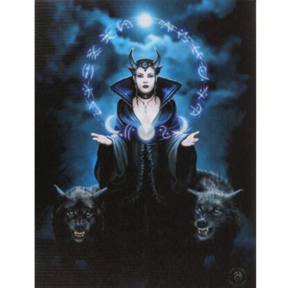 Moon Witch Canvas Picture