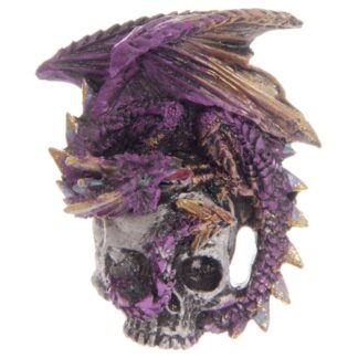 Silver Skull Purple Dragon Magnet