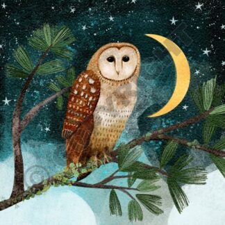Yule Owl Card