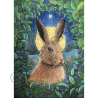 In the Valley of the Hare Card