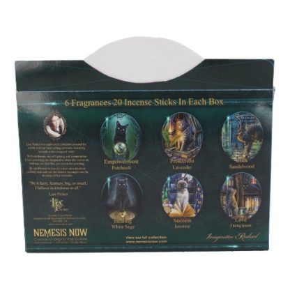 Lisa Parker Magical Incense Gift Pack back view