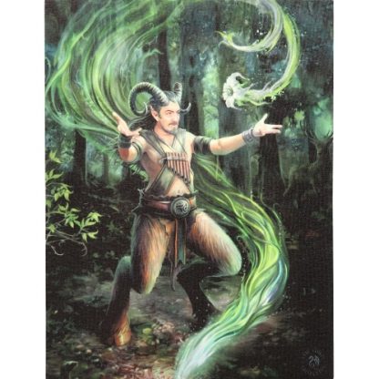 Earth Element Wizard Canvas Picture