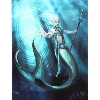 Water Element Wizard Canvas Picture