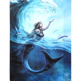 Water Element Sorceress Canvas Picture