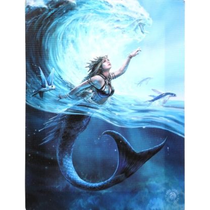 Water Element Sorceress Canvas Picture