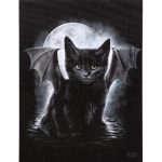 Bat Cat Canvas Picture