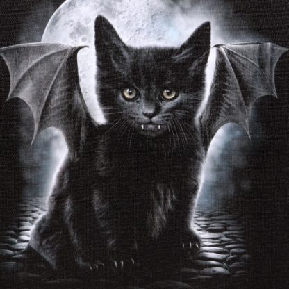 Bat Cat Canvas Picture close-up