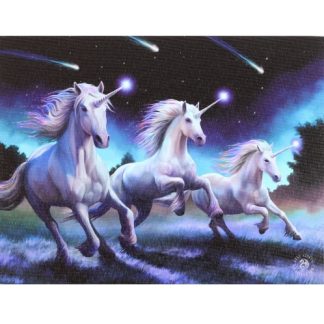 Shooting Stars Canvas Picture
