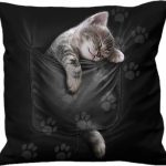 Pocket Kitten Cushion