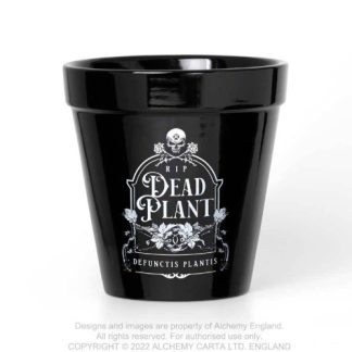 Dead Plant Plant Pot